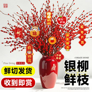 银柳真花鲜枝抱抱福桶喜庆年宵花卉盆栽室内红色干花水培植物春节