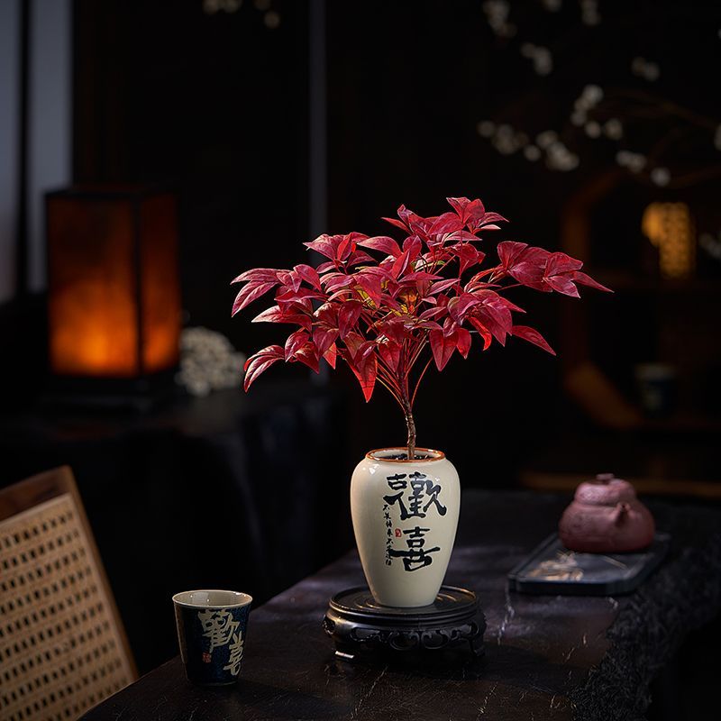 火焰南天竹耐寒好养桌面盆栽