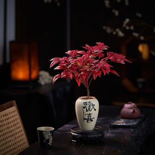 火焰南天竹盆栽绿植盆景中式 客厅禅意易养活观叶桌面摆件耐寒植物