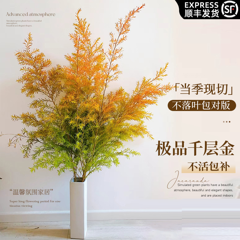 千层金鲜花云南基地直发家用