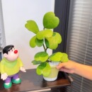 心叶球兰盆栽多肉植物花卉办公室内好养绿植北欧网红解压爬藤盆景