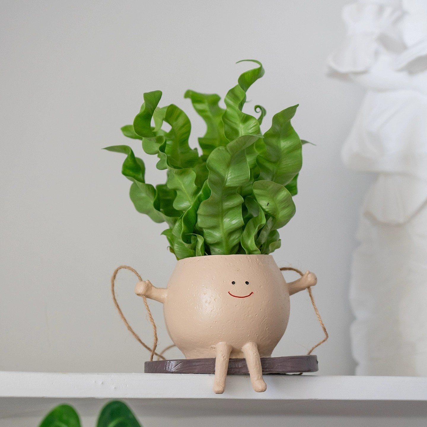 笑脸吊兰荡秋千垂吊植物室内新家装饰盆栽办公室绿植可爱室内植物