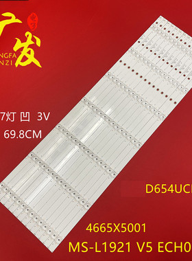 适用乐视D654UCN1/2灯条MS-L1921 V5 ECH0M 4665X5001背光电视灯