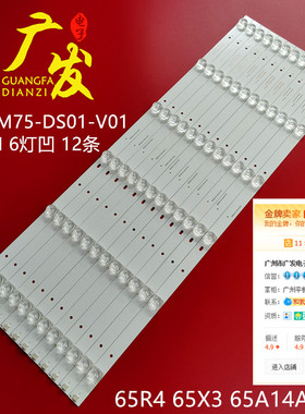 适用暴风65R4灯条65A14A灯条65X3灯65AI4A DS65M75-DS01-V01 DSBJ