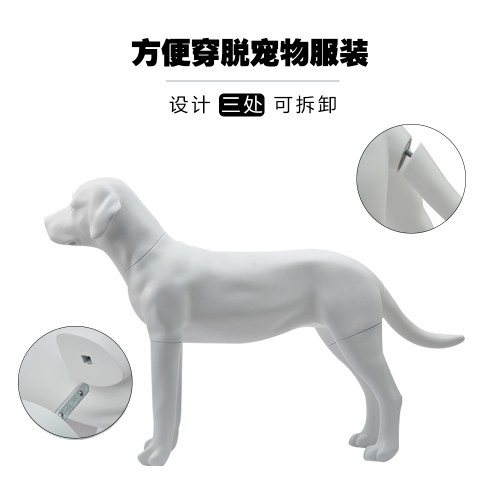 维多利亚风展示架道具模型可拆卸