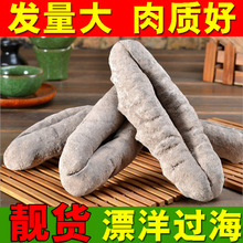 澳洲猪婆参干货黑白猪婆参淡干海参乌石参非洲猪母参野生海参干货