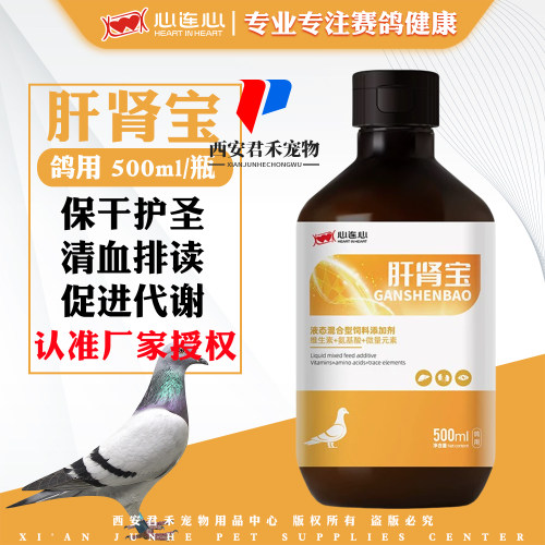 心连心鸽药肝肾宝500ml