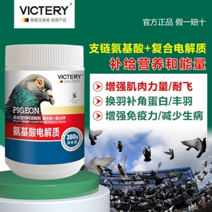 汉诺威鸽药氨基酸电解质止渴补能量强肌肉丰满羽毛提升免疫力