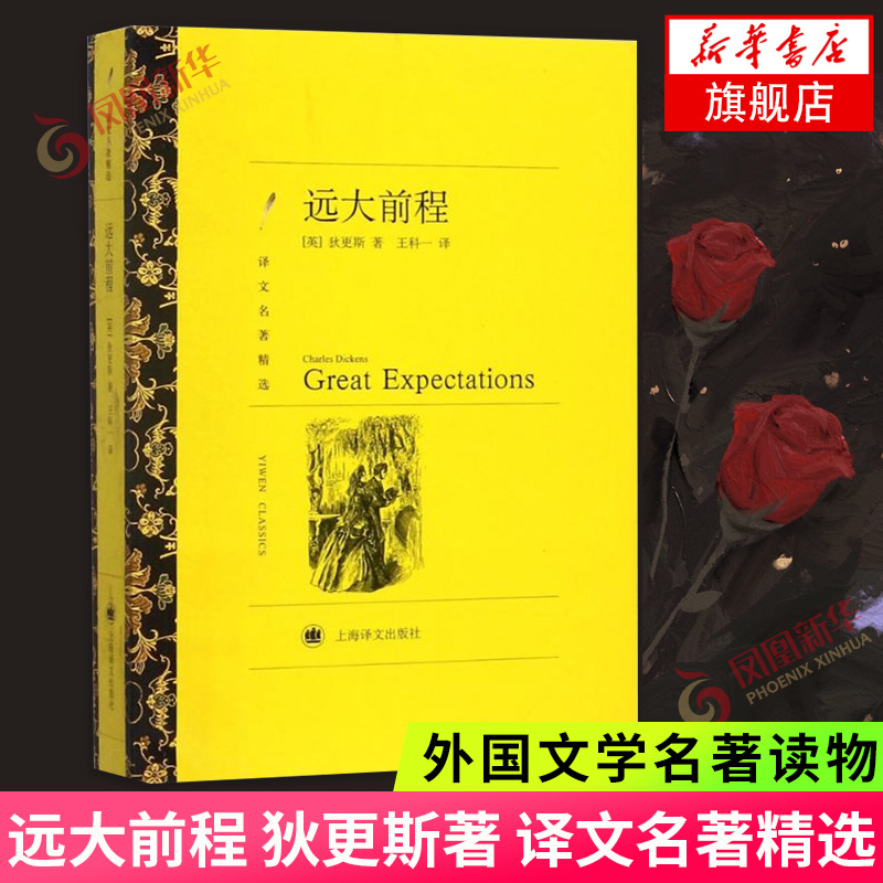 远大前程 狄更斯著 译文名著精选 外国文学读物现当代爱情情感社会小说 外国文学读物名著外国文学 正版书籍 凤凰新华书店旗舰店