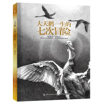 童趣 大天鹅一生的七次冒险精装绘本 沈石溪动物小说书 动物小说钢笔图画书 9~16岁儿童成长励志小说中小学生文学课外读物
