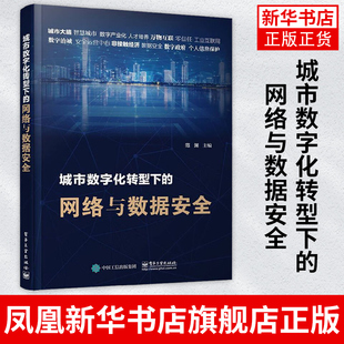 数字化转型过网络和数据安全问题解答书 范渊 现状理论技术实践趋势 数字化发展 城市数字化转型下 网络与数据安全