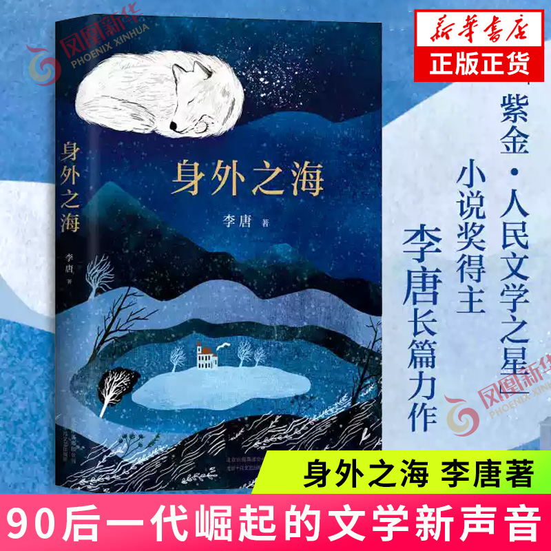 【正版】身外之海 李唐 90后一代崛起的文学新声音 每个人的身外都隔着一片海但有时我想伸出手去够到你 现当代文学小说书籍