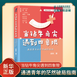 梁爽著 应用四象限工具厘清思路解决问题 新华书店正版 通透青年 书籍 社 茫然破局指南 人民邮电出版 当钻牛角尖遇到四象限 心理学