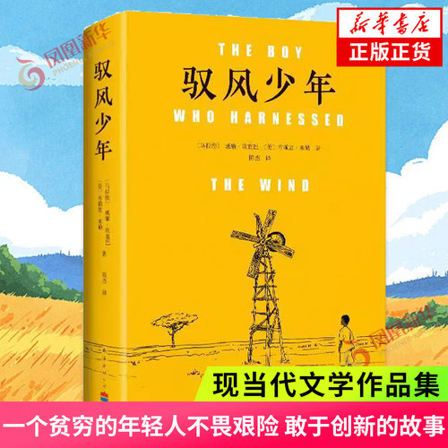 驭风少年 威廉 坎宽巴 布赖恩 米勒著 一个贫穷的年轻人不畏艰险 敢于创新的故事 外国小说 南海出版公司 凤凰新华书店 正版书籍