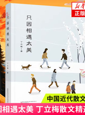 只因相遇太美 暖心作家丁立梅散文精选集 中考语文阅读题热点作家 文学作品集散文集中国近代散文随笔 新华书店正版