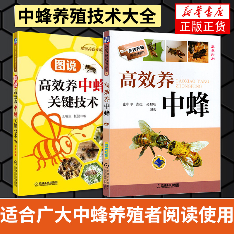 【套装2册】图说高效养中蜂关键技术+高效养中蜂 养蜂书中华蜂土蜂中蜂饲养新技术 中蜂养殖技术大全 蜂养殖实用饲养手册