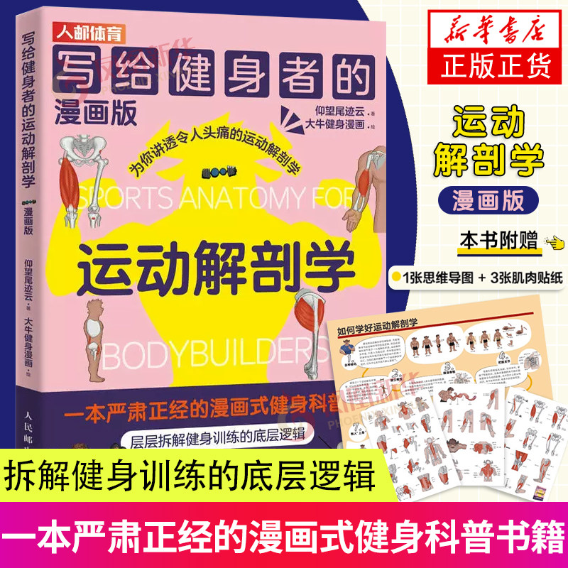 写给健身者的运动解剖学 漫画版 仰望尾迹云健身训练书籍 肌肉图解