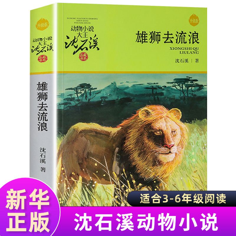 正版 雄狮去流浪 动物小说大王沈石溪品藏书系中小学生课外阅读书不带拼音儿童文学书籍 浙江少年儿童出版社
