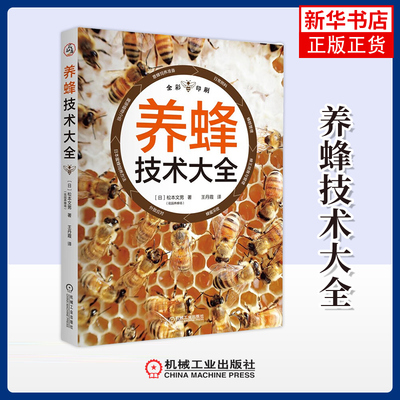 养蜂技术大全意蜂饲养全过程的方法和技巧养蜂书籍蜜蜂养殖技术养中蜂一本通科学技术蜂意蜂的饲养准备蜂群管理蜂王培育
