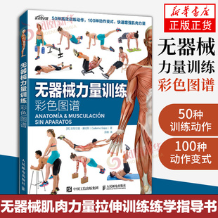 健身教程书 拉伸训练彩色图谱 肌肉训练无器械健身 健身书籍 无器械力量训练彩色图谱