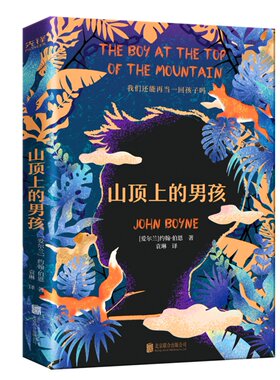 山顶上的男孩 (爱尔兰)约翰·伯恩 《穿条纹睡衣的男孩》姊妹篇 北京联合出版公司 凤凰新华书店旗舰店 正版书籍
