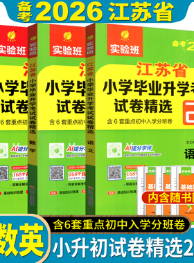 备考2026 江苏省小学毕业升学考试试卷精选28套卷语文数学英语 春雨教育精选28套小考总复习六年级下苏教版真题必刷题暑假衔接教材
