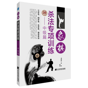 中国象棋书 象棋全盘布局战略棋谱战法技巧 象棋入门 象棋中盘攻杀技巧 象棋战术教程 象棋杀法专项训练 象棋实战指南 中级篇