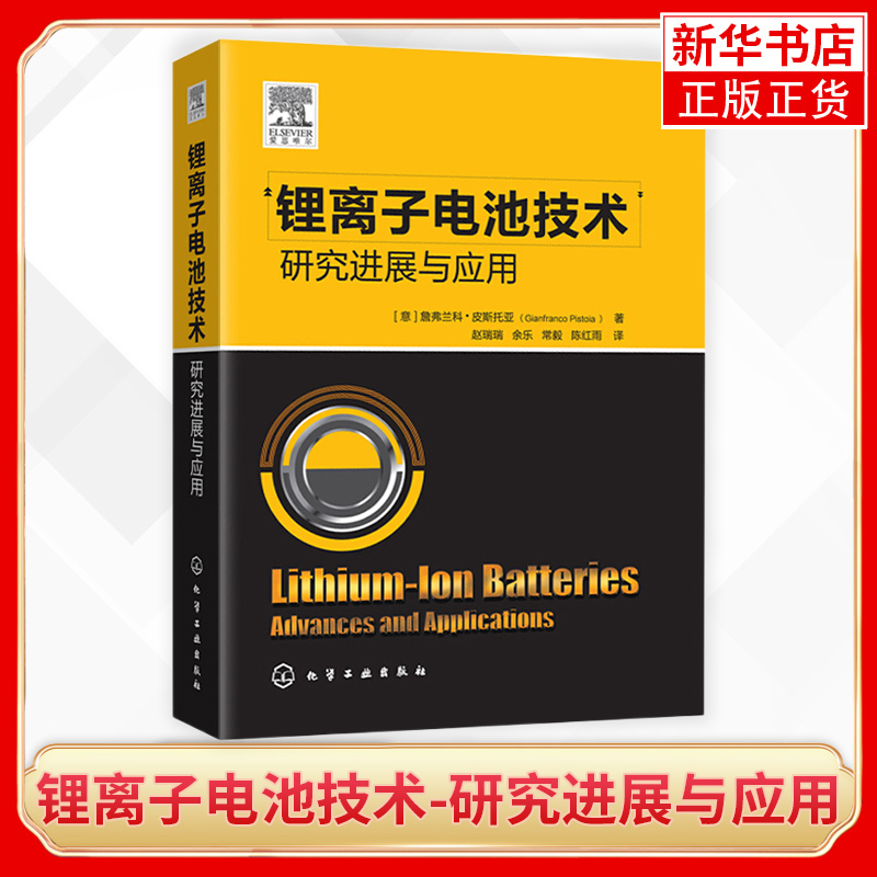 锂离子电池技术-研究进展与应用 锂离子电池发展趋势 锂离子电池组件锂离子