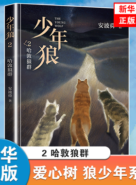 少年狼 2 哈敦狼群 安波舜 少年成长励志 水彩插图长篇系列小说 小学生课外阅读书籍小说故事书 中国狮子王 北京十月文艺出版社