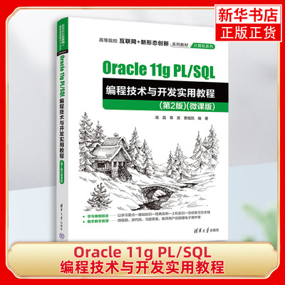 Oracle11gPLSQL清华大学出版社