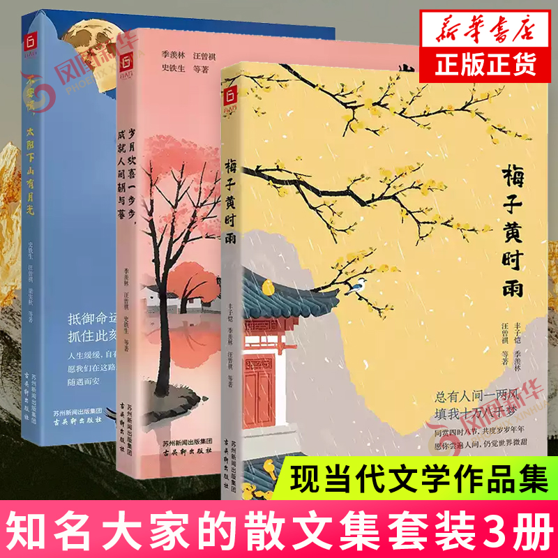 梅子黄时雨+岁月欢喜一步步成就人间朝与暮+不要慌太阳下山有月光 套装3册 梁实秋丰子恺季羡林等著 名家散文随笔集