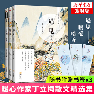 暖爱 遇见全套3册 金城出版 丁立梅精品十年精选集中国现当代文学 赠书签×3 丁立梅散文集套装 暗香 丁立梅作品集 社正版