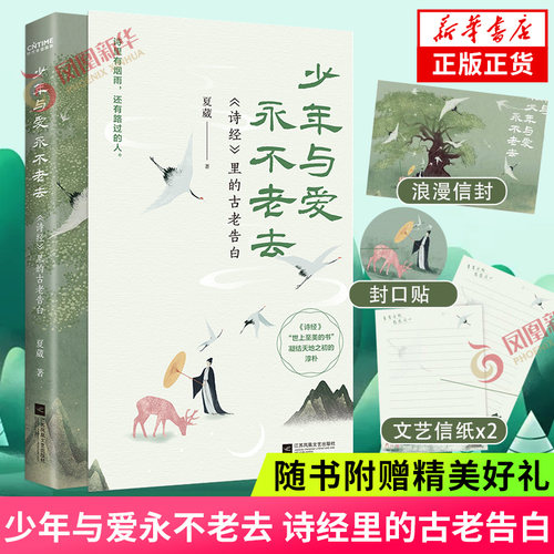 少年与爱永不老去正版