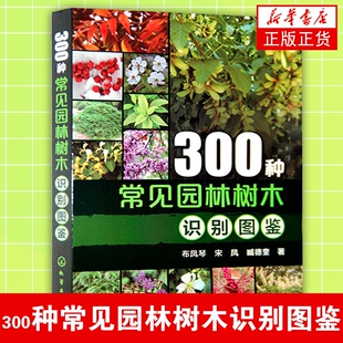 300种常见园林树木识别图鉴 园林设计及行业庭院风景花卉种植栽培技术 布凤琴,宋凤,臧德奎 凤凰新华书店旗舰店