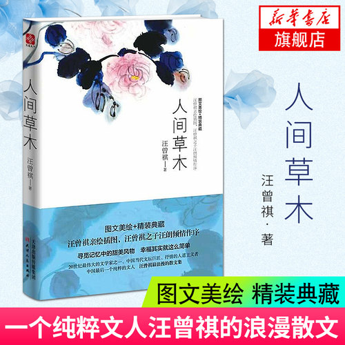 人间草木 汪曾祺散文精选 汪曾祺的书 中国现当代文学散文 人间有味人间有戏 青少年中小学初高中课外阅读 经典文学散文随笔作品集