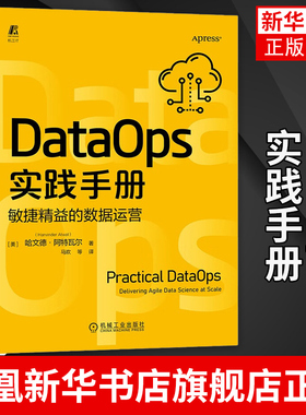 DataOps实践手册 敏捷精益的数据运营 DataOps 数据治理 敏捷开发 精益制造 数据科学交付数字化转型 凤凰新华书店旗舰店