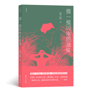摸一摸閃電 畫卷刻畫出農(nóng)村人面對(duì)病痛生死 正版 血淚交織 社會(huì)小說(shuō) 原十月副主編中短篇力作 趙蘭振著 滋味 掙扎無(wú)奈與達(dá)觀