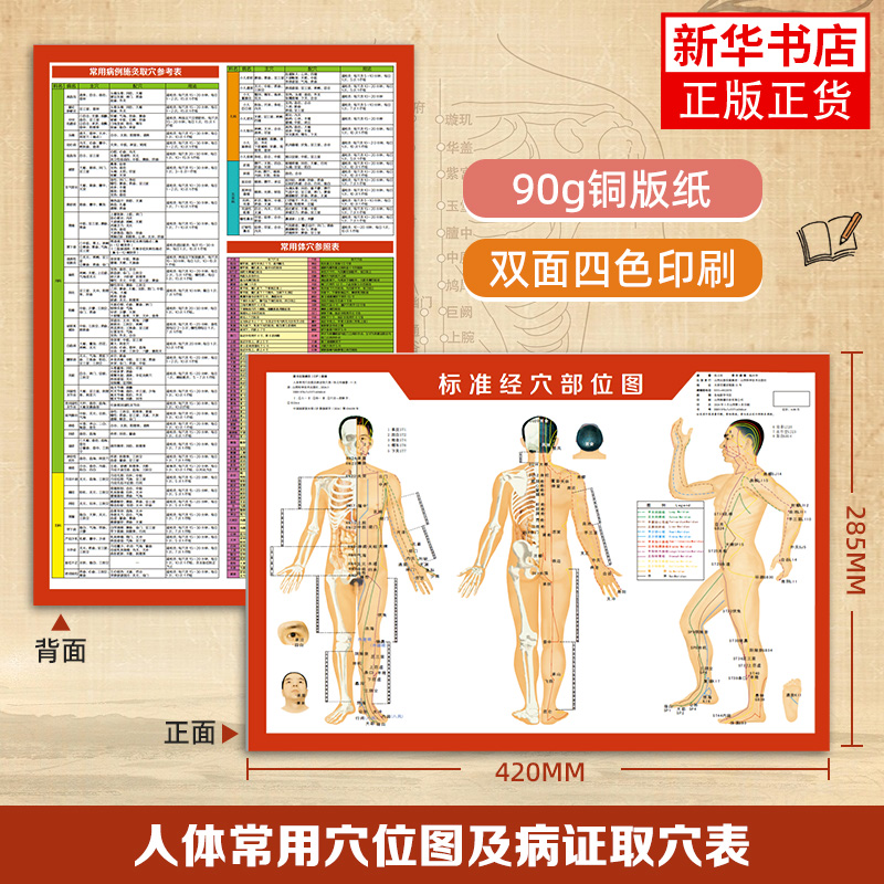 人体凤凰新华书店旗舰店