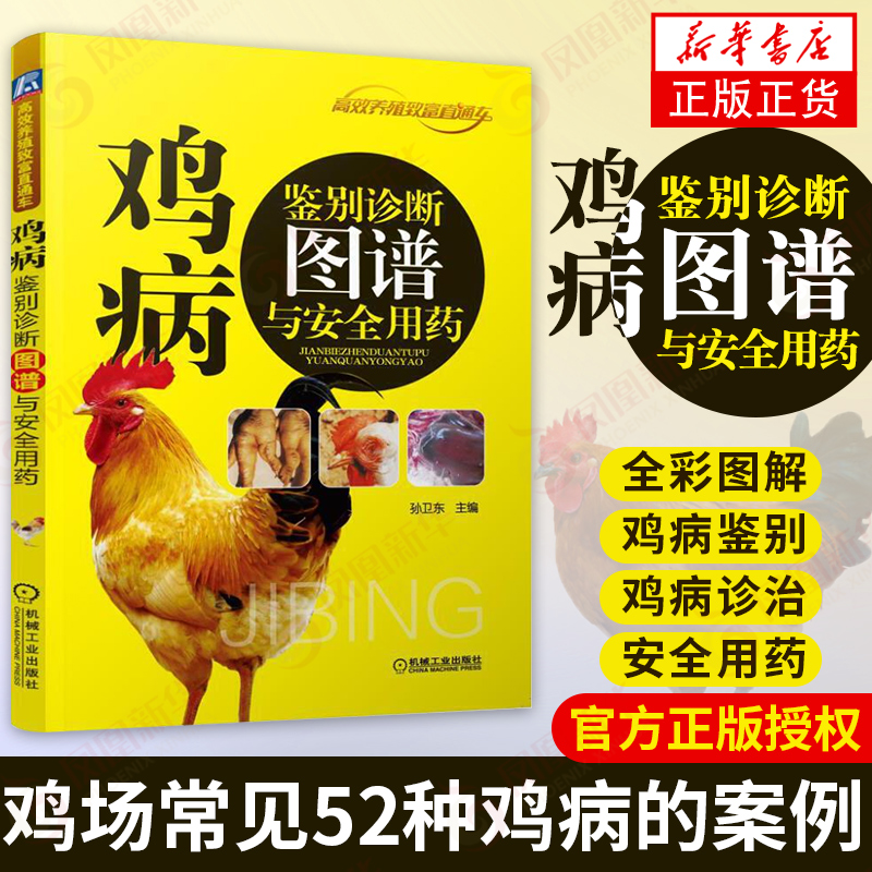 新华书店 官方正版