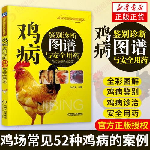 新华书店 官方正版