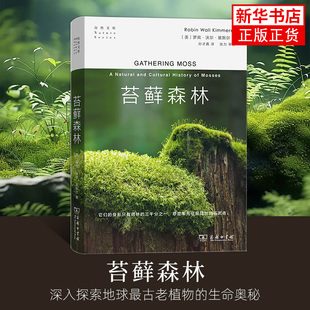 苔藓森林 基默尔 商务印书馆 自然文库 苔藓生态摄影微观陆地生态苔藓故事 博物学自然科普生物学陆生植物学苔藓知识科普书籍