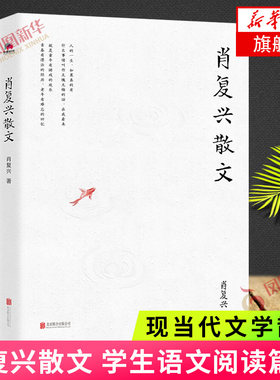 肖复兴散文 肖复兴著 收录花边饺和拥你入睡中小学语文阅读篇目 手绘插图 现当代文学散文精选集名家作品