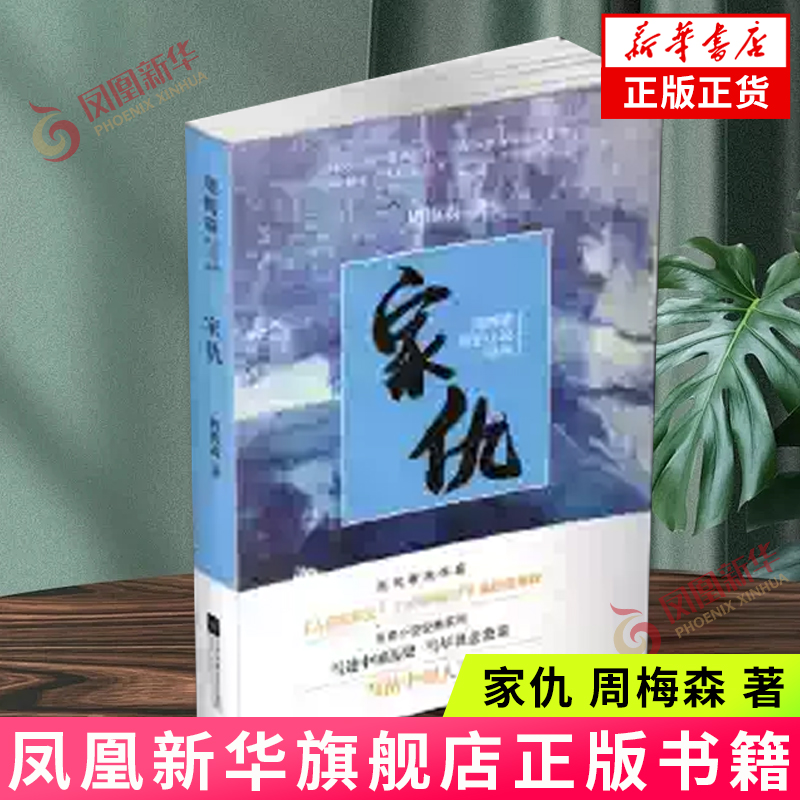家仇周梅森江苏凤凰文艺出版社