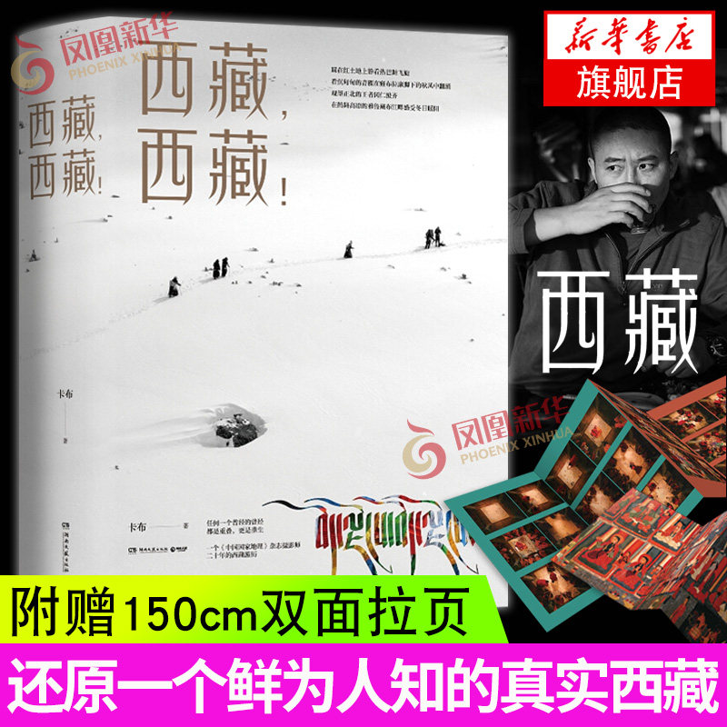 西藏 西藏 西藏旅游摄影书籍 西藏民俗风俗礼仪礼节大全 西藏拍摄景点指南 西藏人文风景旅游拍摄知识大全 藏区自由行摄影图书籍