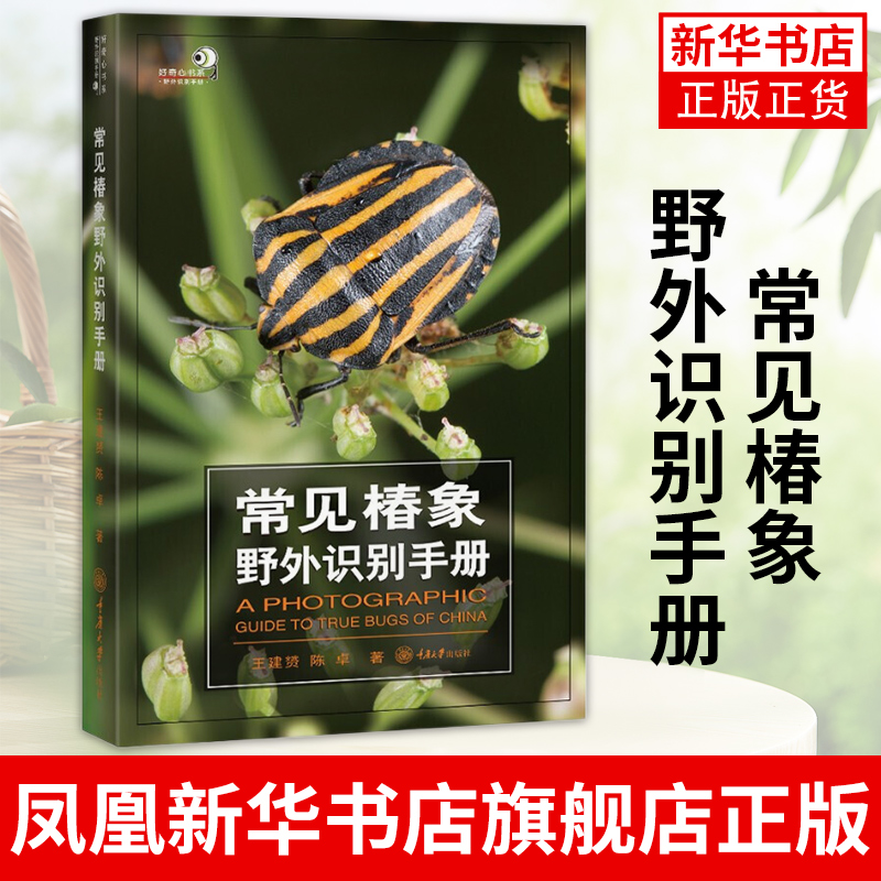 常见椿象野外识别手册王建赟陈卓著收录450种蝽类昆虫特征描述照片重庆大学出版社正版书籍凤凰新华书店旗舰店