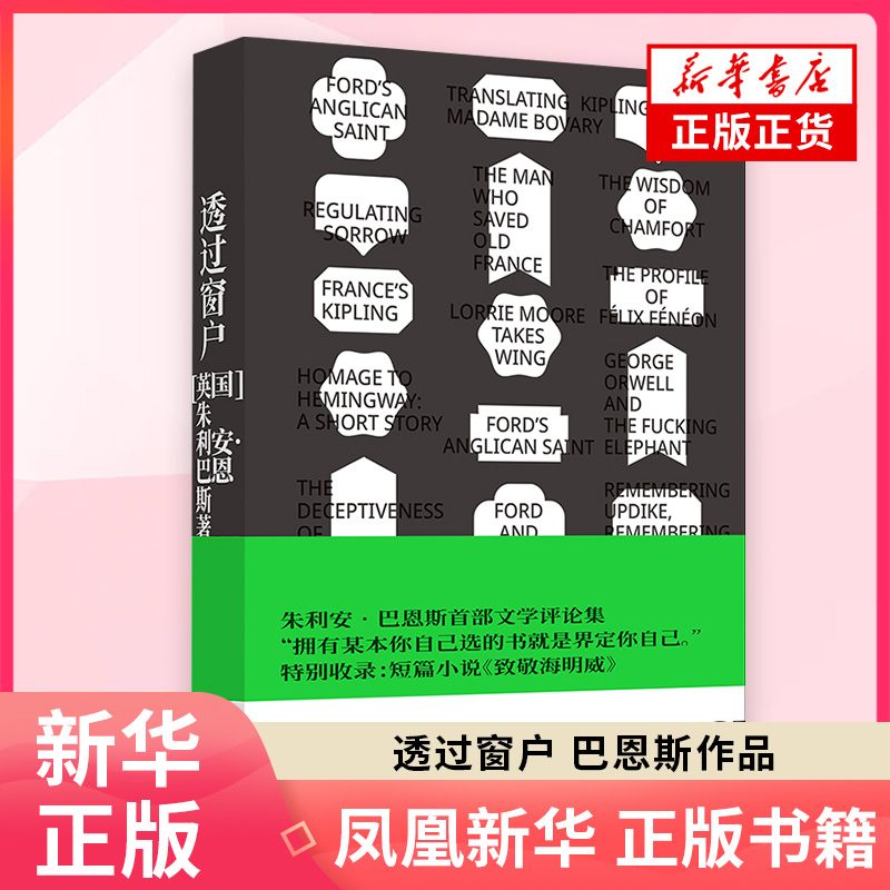 透过窗户巴恩斯作品  朱利安 巴恩斯文学随笔集 译林出版社 正版书籍 凤凰新华书店旗舰店 外国随笔 散文集
