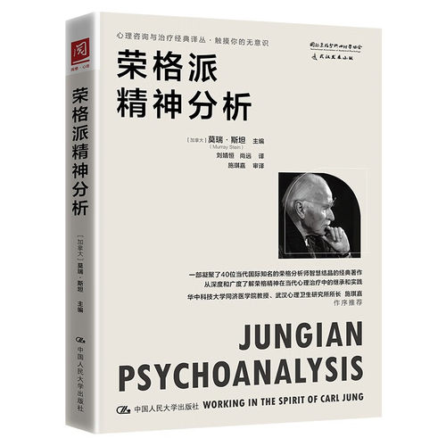 荣格派精神分析 莫瑞 斯坦著 本书是凝聚四十位荣格分析师智慧结晶的文集 心理学 中国人民大学出版社 凤凰新华书店旗舰店正版书籍