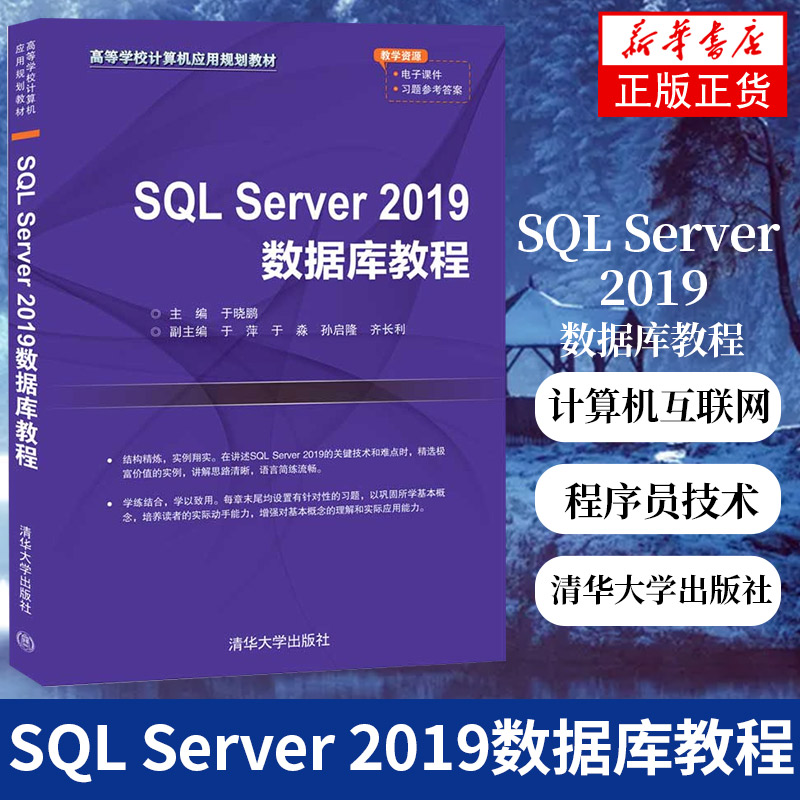 SQL Server 2019数据库教程 高等学校计算机应用教材 关系数据库系统 计算机应用教材 计算机互联网编程 程序员技术参考书