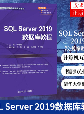 SQL Server 2019数据库教程 高等学校计算机应用教材 关系数据库系统 计算机应用教材 计算机互联网编程 程序员技术参考书