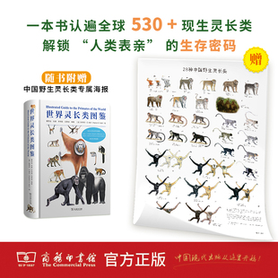 世界灵长类图鉴董贵信 张鹏 李保国 龙勇诚 编著[英]斯蒂芬·D.纳什 绘动物商务印书馆凤凰新华书店旗舰店